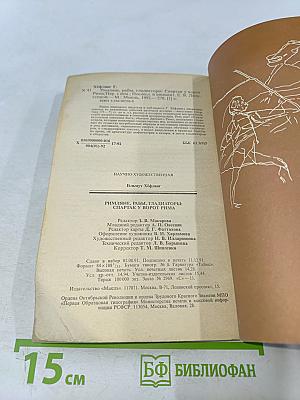 Римляне, рабы, гладиаторы: Спартак у ворот Рима