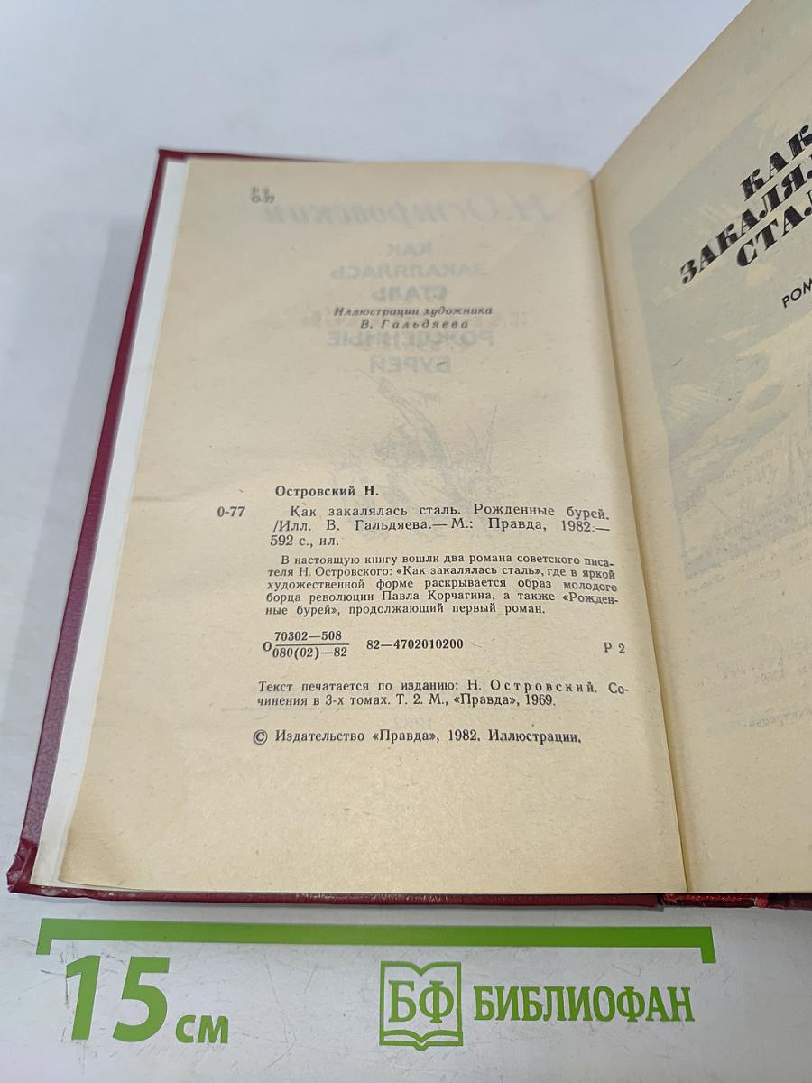Как закалялась сталь. Рожденные бурей