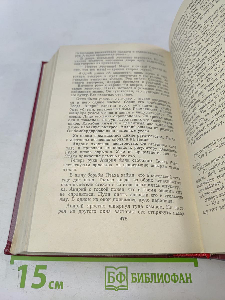 Как закалялась сталь. Рожденные бурей