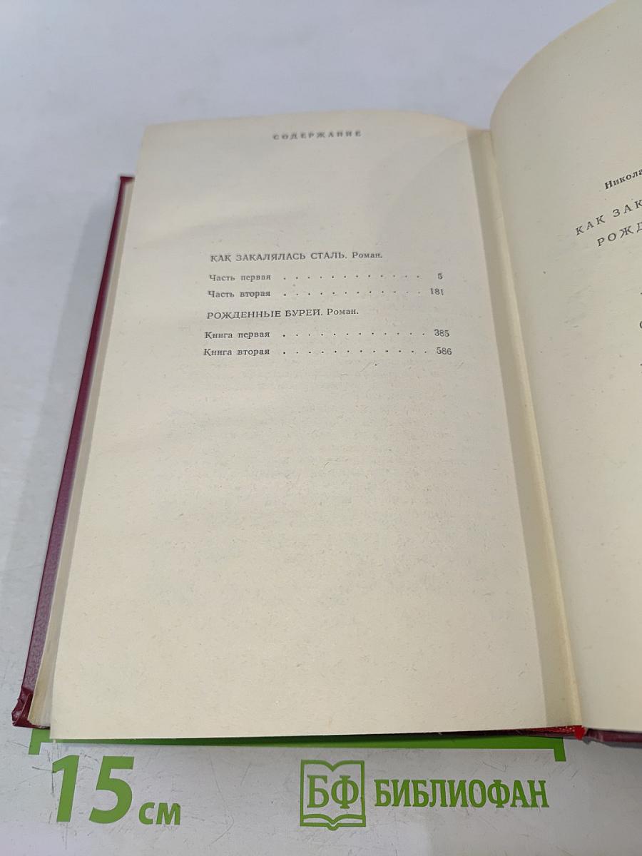 Как закалялась сталь. Рожденные бурей