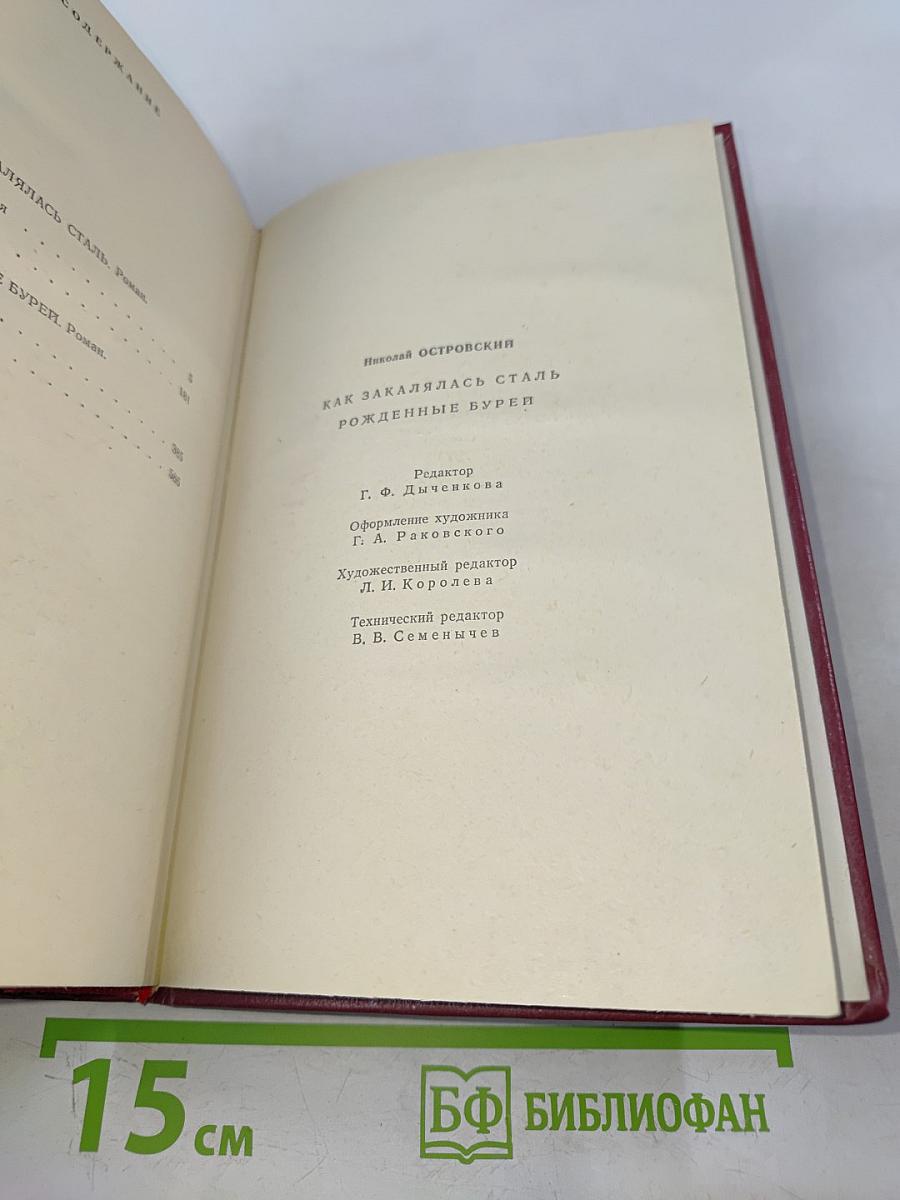 Как закалялась сталь. Рожденные бурей