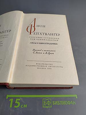 Лисы в винограднике