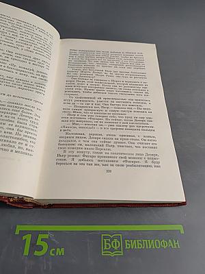 Лисы в винограднике