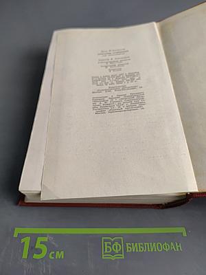 Лисы в винограднике