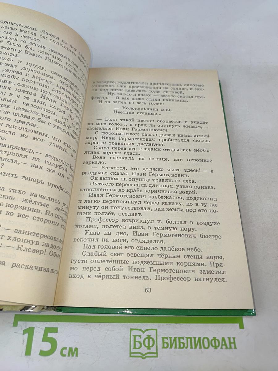 Необыкновенные приключения Карика и Вали