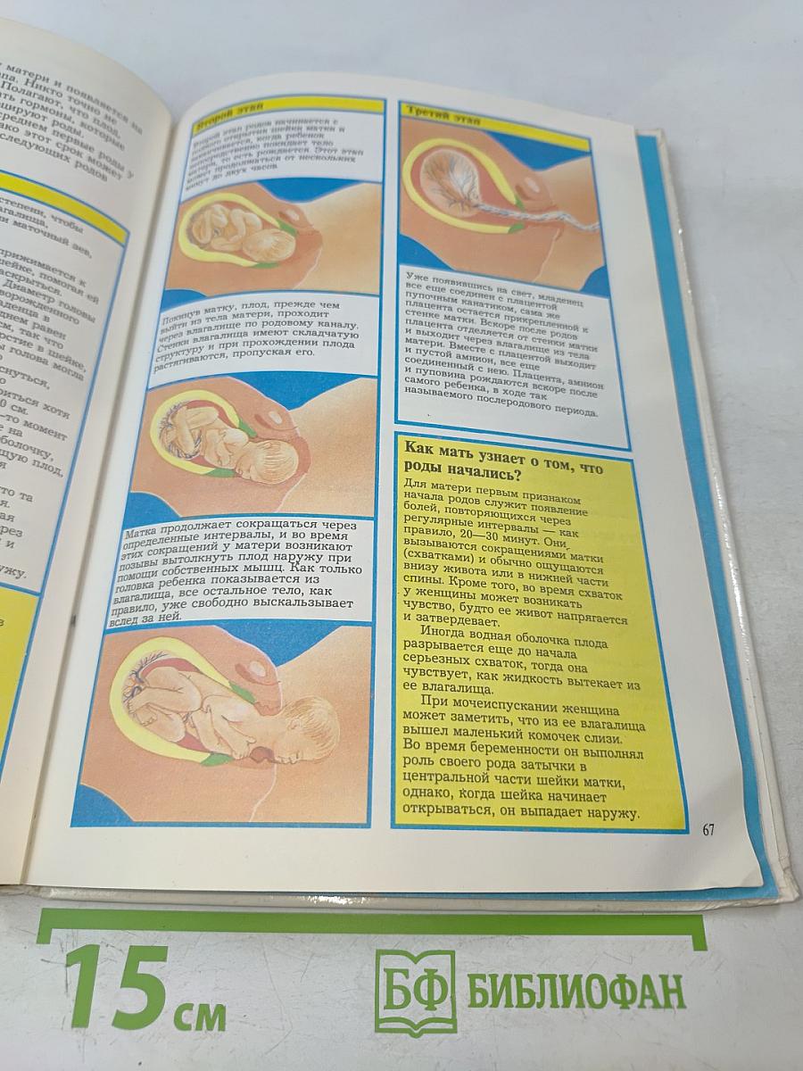 Детская сексология. Школьный иллюстрированный справочник