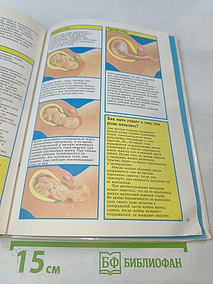 Детская сексология. Школьный иллюстрированный справочник