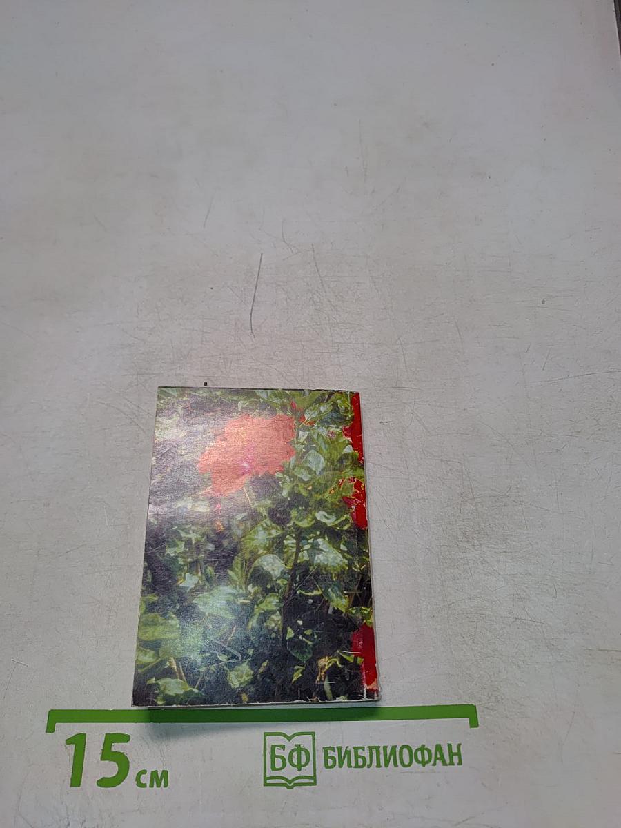 С наилучшими пожеланиями. Поздравления, тосты