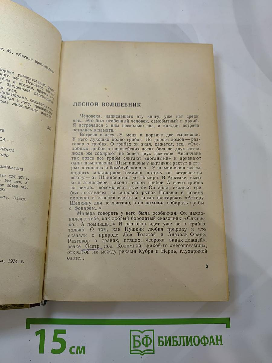Дары русского леса