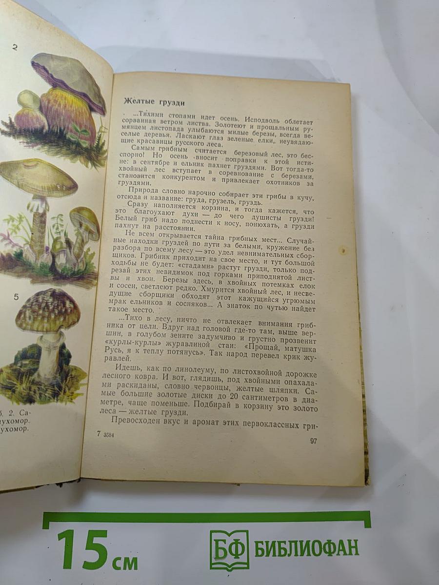 Дары русского леса