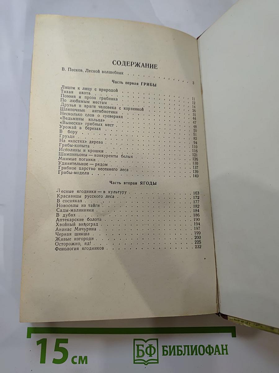 Дары русского леса