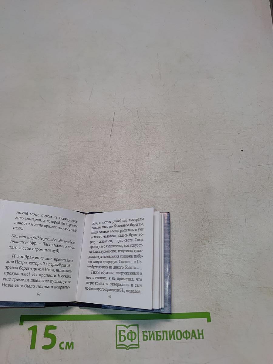 Санкт-Петербург в русской литературе. Том 1. «Давно стихами говорит Нева...»