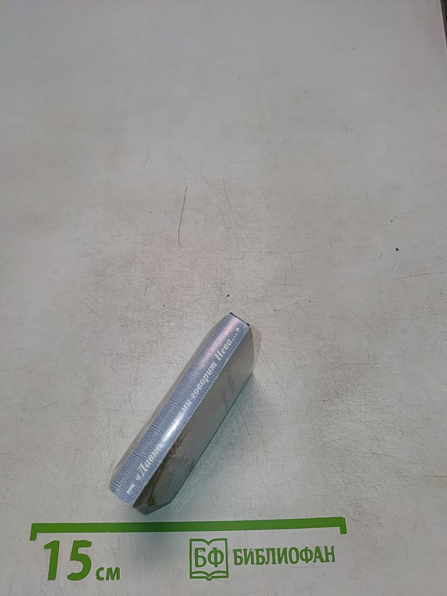 Санкт-Петербург в русской литературе. Том 1. «Давно стихами говорит Нева...»