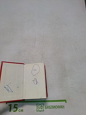 Карманный англо-русский словарь