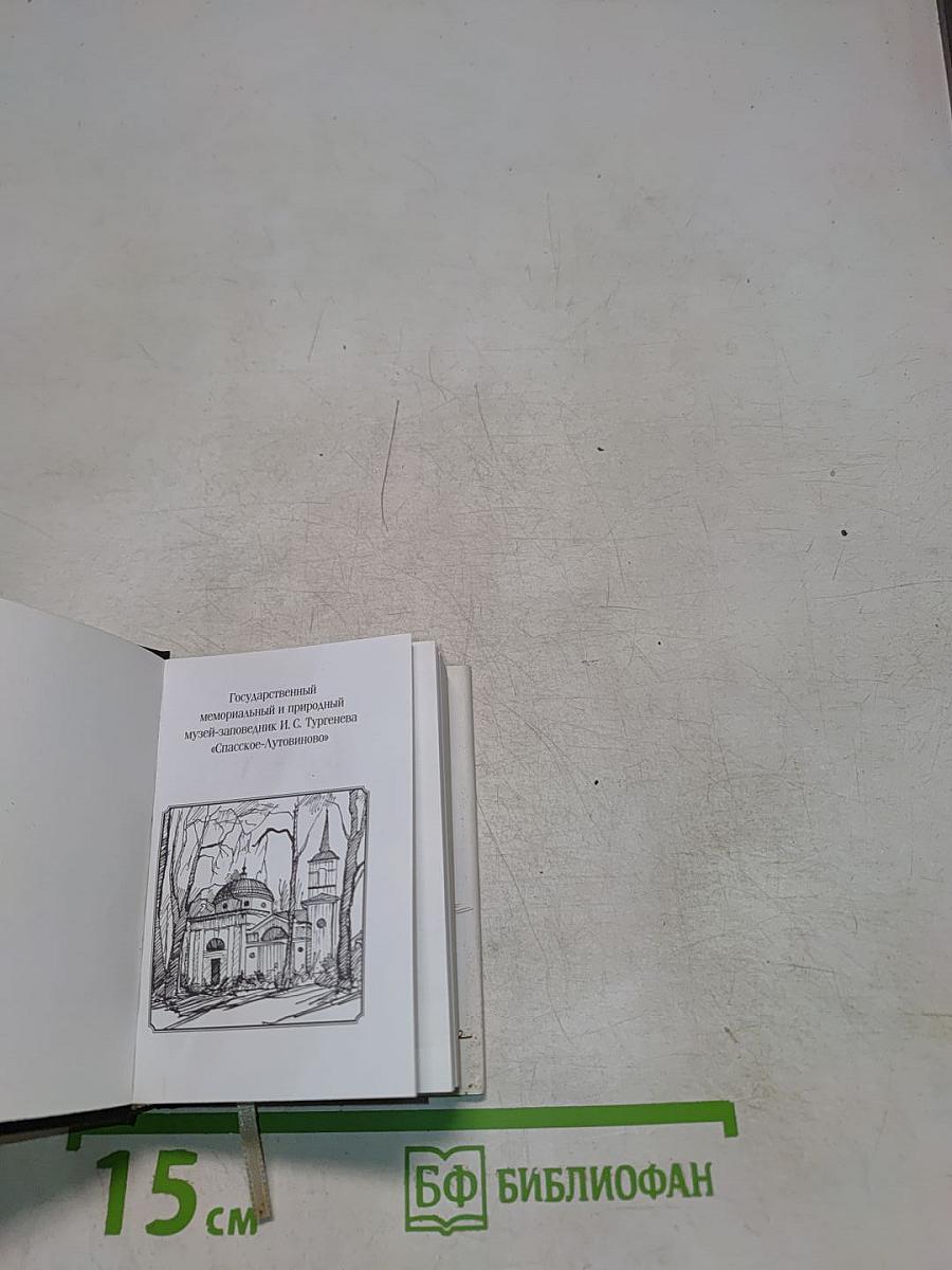 Senilia. Стихотворения в прозе