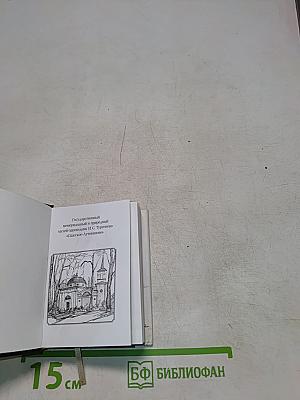 Senilia. Стихотворения в прозе