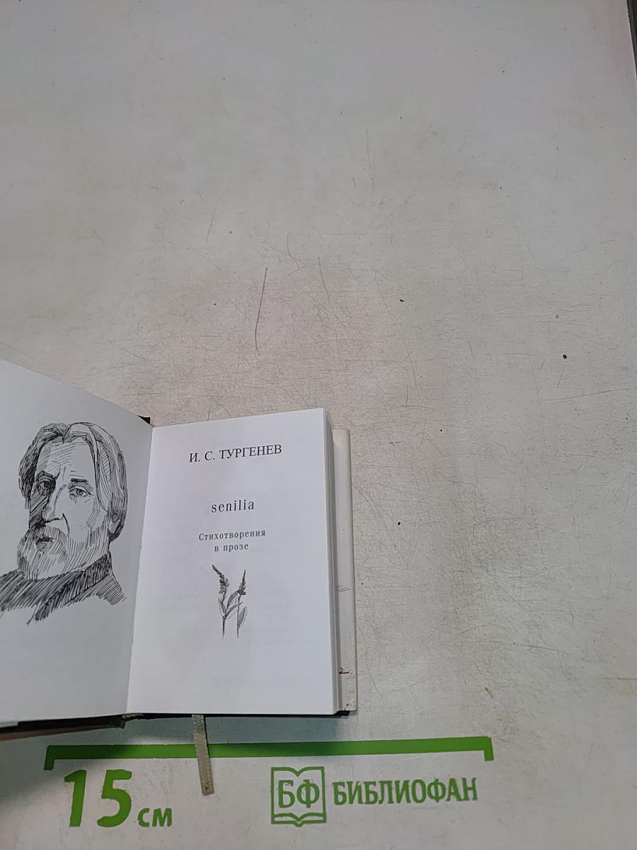 Senilia. Стихотворения в прозе