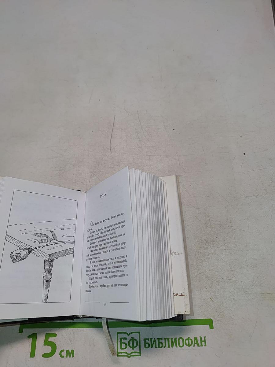 Senilia. Стихотворения в прозе