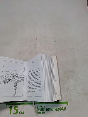 Senilia. Стихотворения в прозе