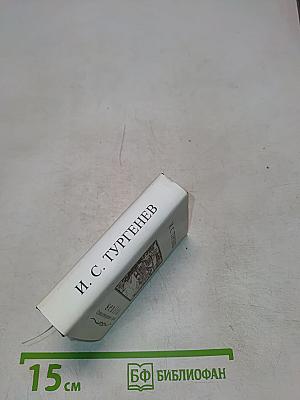 Senilia. Стихотворения в прозе