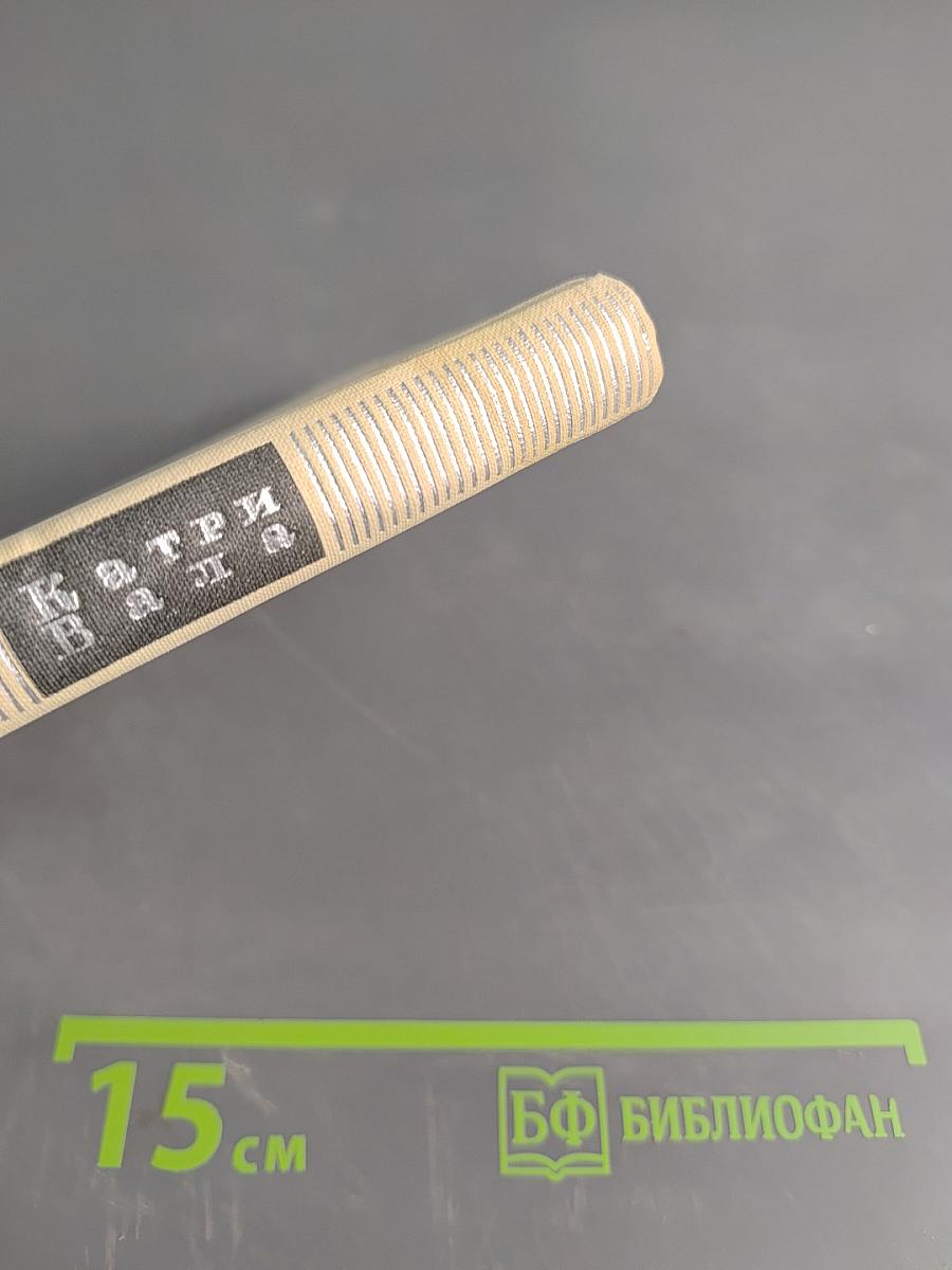 Далекий сад. Избранные стихи. Переводы с финского