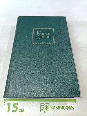 Необыкновенное лето. Том шестой