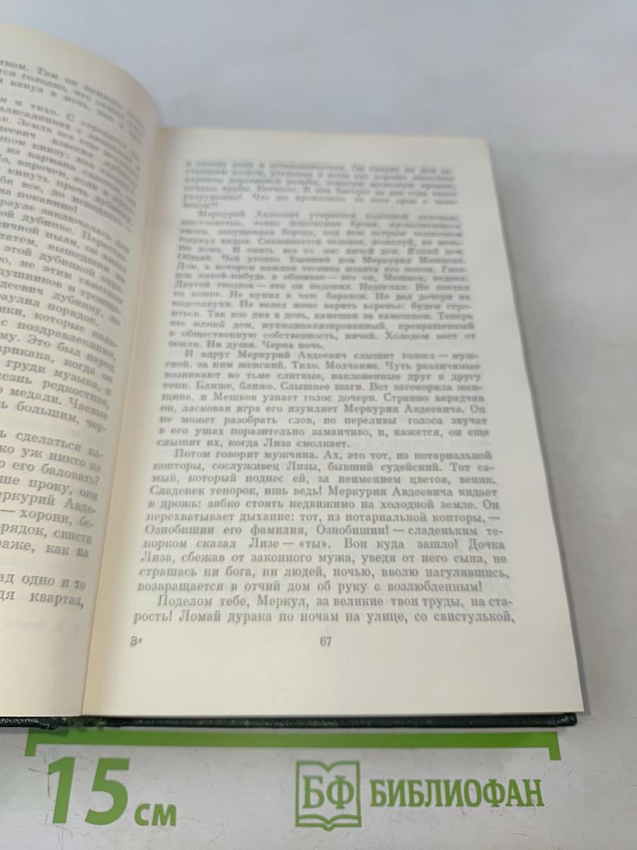 Необыкновенное лето. Том шестой