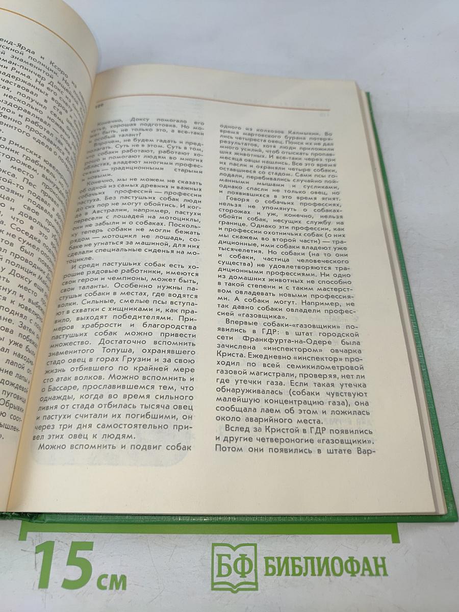 Соседи по планете. Домашние животные