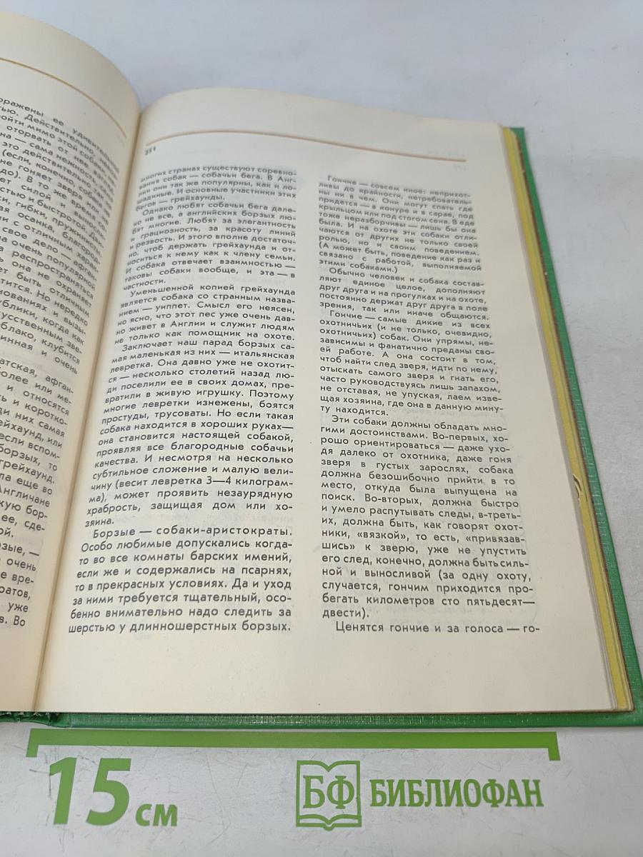 Соседи по планете. Домашние животные