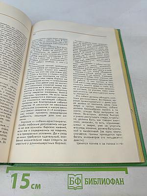 Соседи по планете. Домашние животные