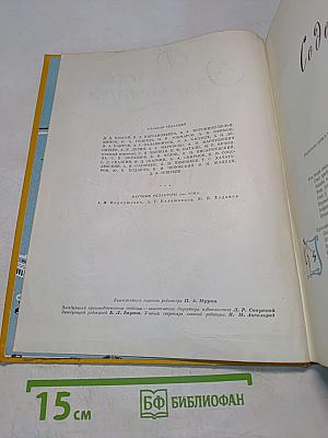 Детская энциклопедия. Том 3. Числа и фигуры. Вещество и энергия