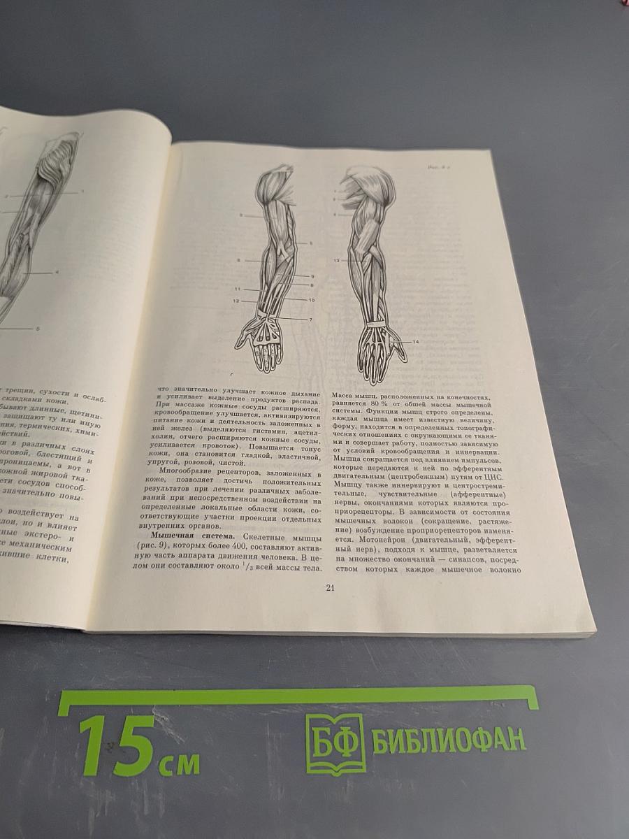 Справочник по массажу