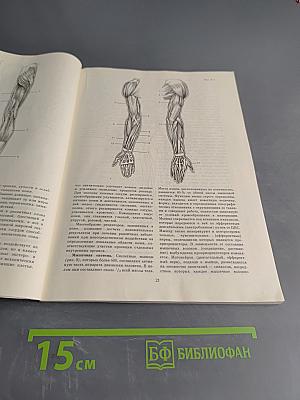 Справочник по массажу