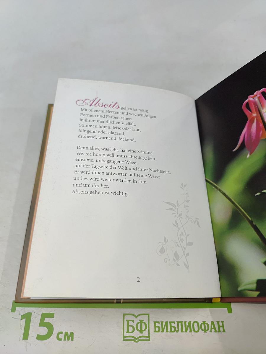 Die leisen Kräfte sind es, die dich tragen