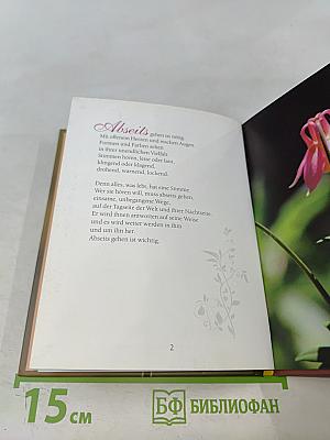 Die leisen Kräfte sind es, die dich tragen