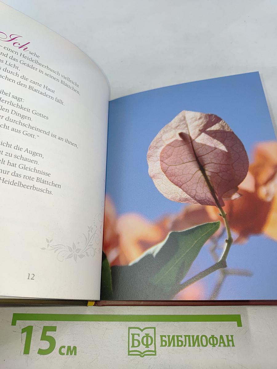 Die leisen Kräfte sind es, die dich tragen