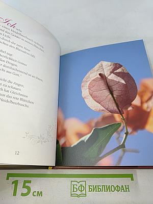 Die leisen Kräfte sind es, die dich tragen