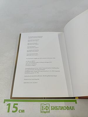 Die leisen Kräfte sind es, die dich tragen