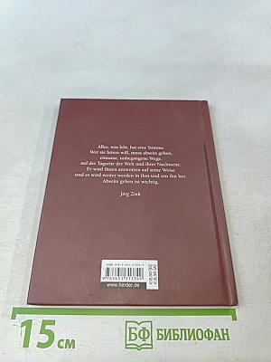 Die leisen Kräfte sind es, die dich tragen