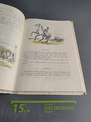 Для детей. Рассказы и сказки