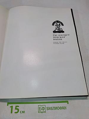 Где плещет Невская волна