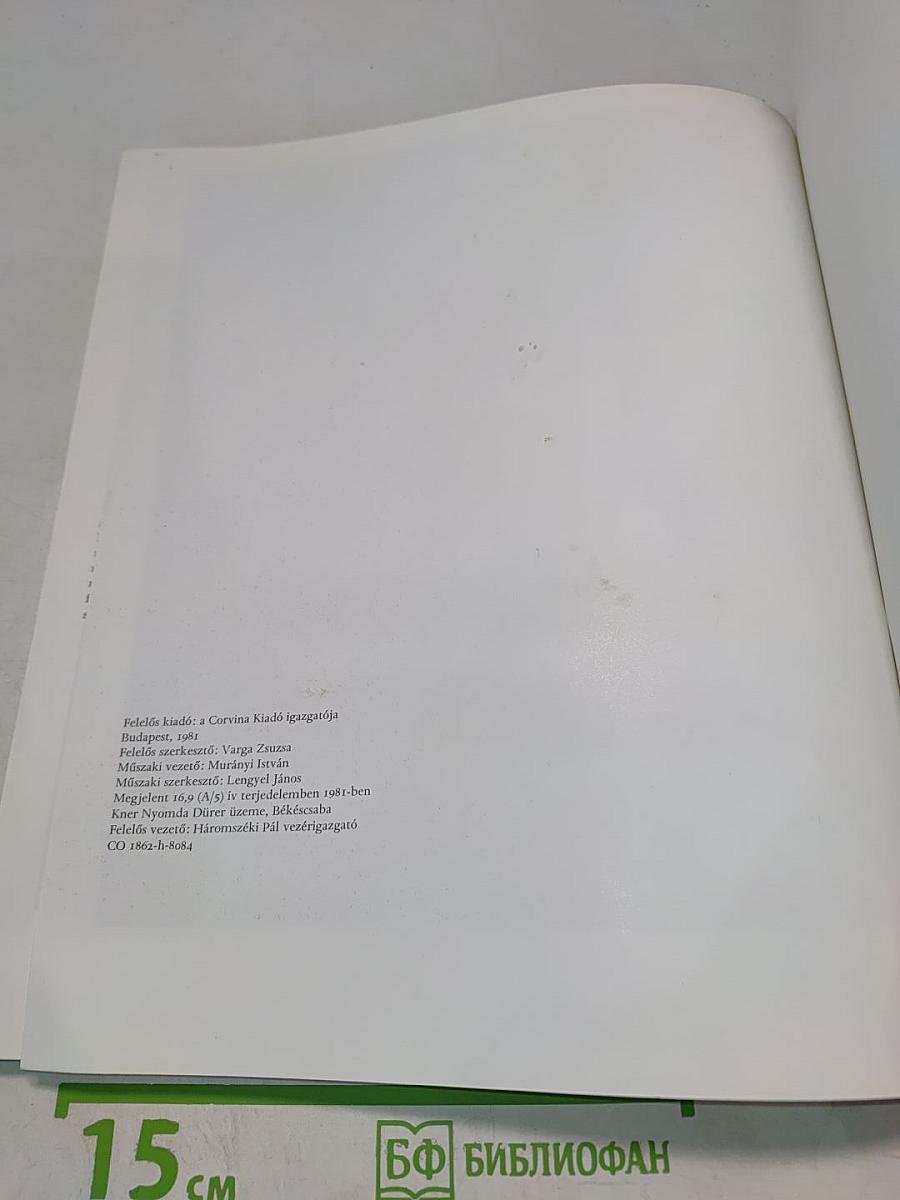 Olasz Reneszánsz Portrék