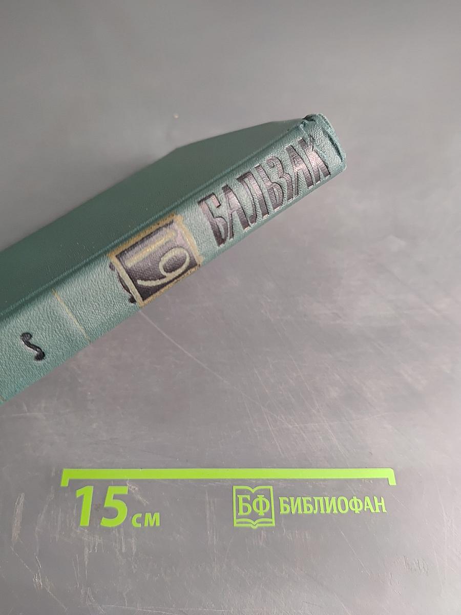 Человеческая комедия. Том 19