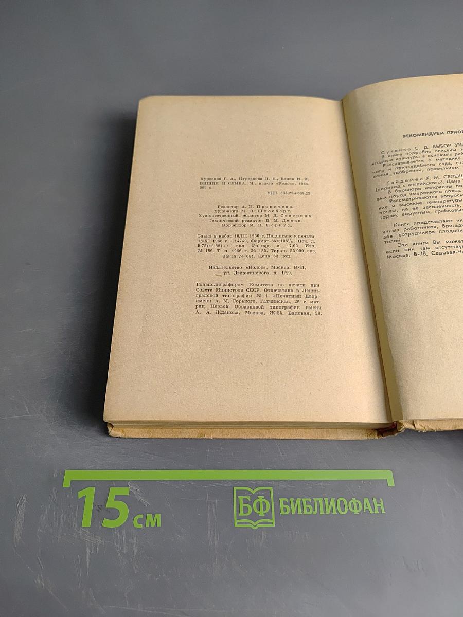 Вишня и слива