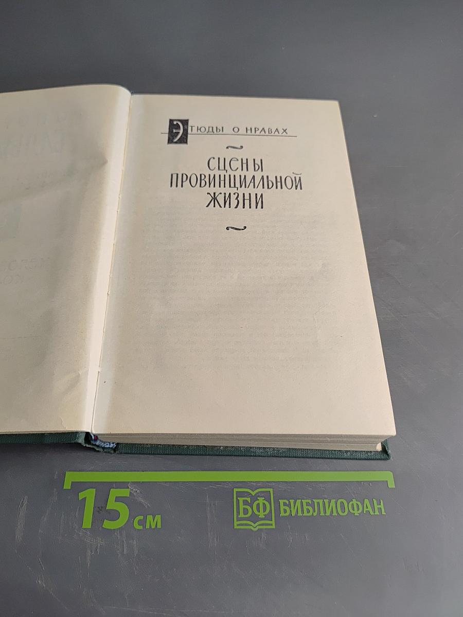 Сцены провинциальной жизни