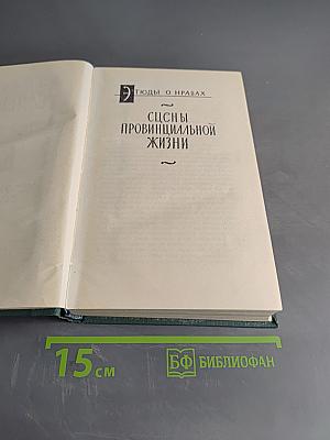 Сцены провинциальной жизни