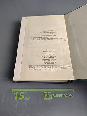 Сцены провинциальной жизни