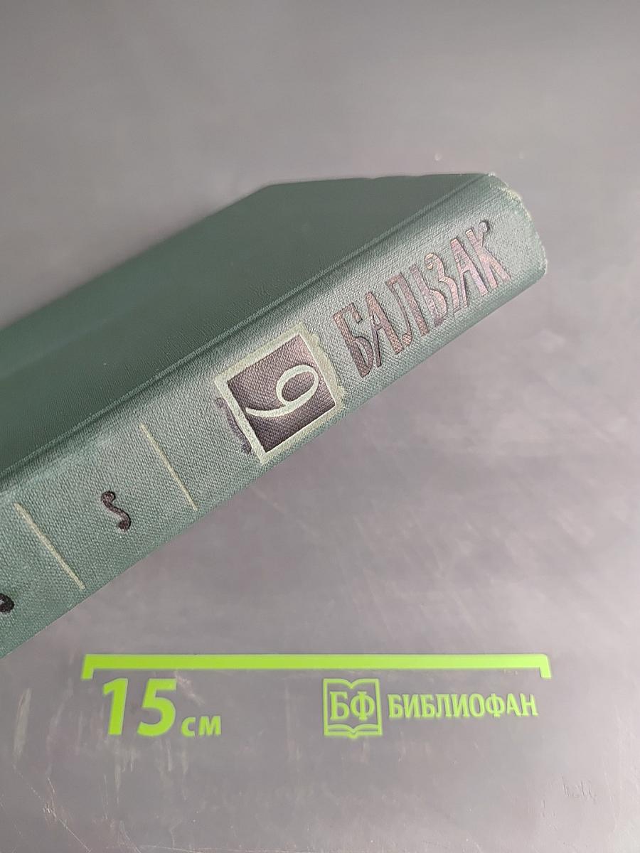 Сцены провинциальной жизни