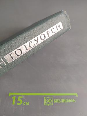 Собрание сочинений в шестнадцати томах. Том 6