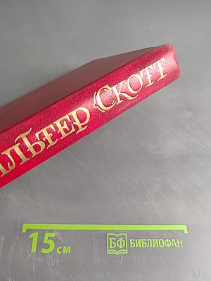 Квентин Дорвард. Том 8